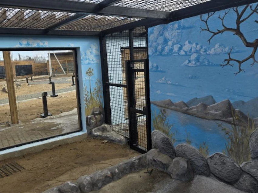 В зоопитомнике «Амодово» под Читой возобновлены работы по реновации 